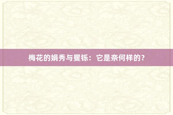 梅花的娟秀与矍铄：它是奈何样的？